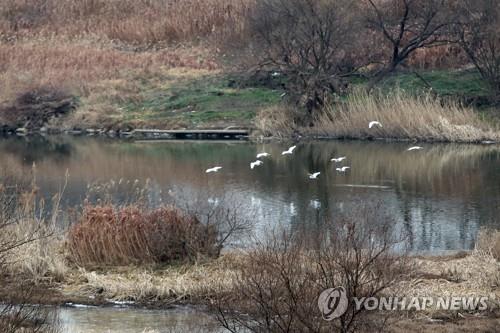 황룡강 장록습지 '보호지역' 지정…시민 1천명에게 찬반 묻는다