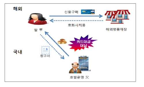 국세청, 역외탈세 혐의 기업·개인 171곳 세무조사