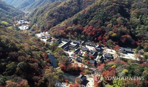 장성군의회 조계종에 '백양사 총림 지정 해제 반대' 청원