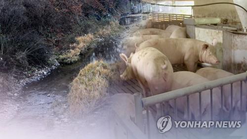 中서 넘어왔나…러시아 극동 아프리카돼지열병 극성