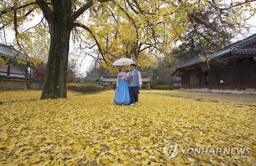 [#꿀잼여행] 호남권: '가는 가을 아쉬워'…단풍과 작별인사