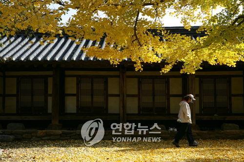 [#꿀잼여행] 호남권: '가는 가을 아쉬워'…단풍과 작별인사