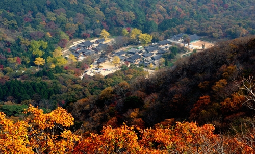 한반도 마지막 단풍…붉게 물든 땅끝 해남