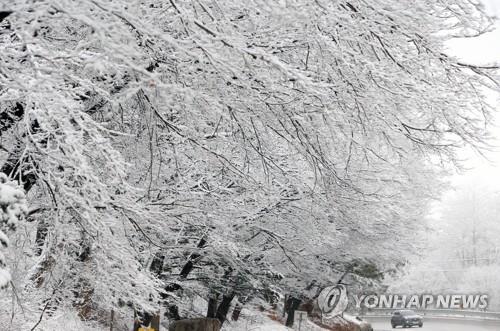 "강원, 올겨울 평년보다 덜 춥겠으나 큰 추위 여러 번"