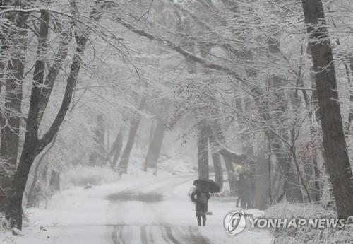 강원 산지 월요일 새벽 많은 눈…최대 30㎝