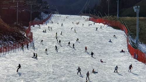 겨울 스키 시즌 돌입…강원 스키장 흐린날씨 속 은빛 질주