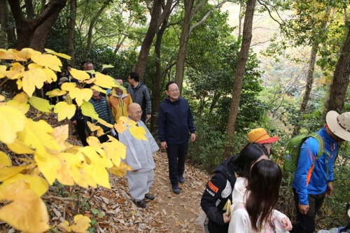 한반도 단풍 마지막 머문 땅끝 해남…만추 정취 흠뻑