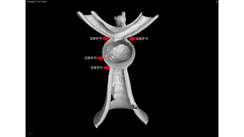 1천500년전 가야 사슴모양뿔잔, 네 부분 접합