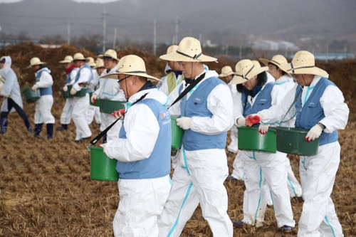 철강 부산물로 만든 비료…온실가스 줄이고 벼 성장 촉진