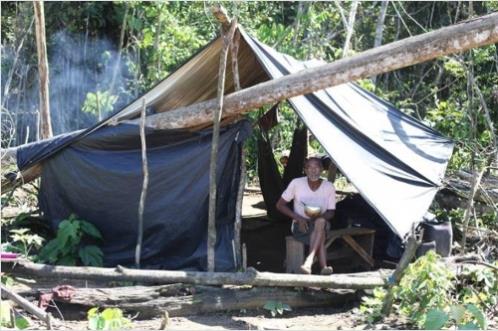 아마존 열대우림 원주민 부족, 공개서한 통해 구조요청