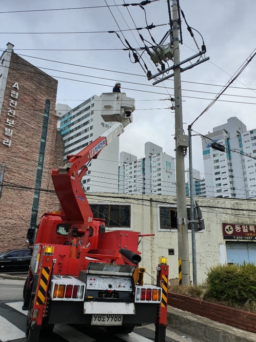 까마귀떼 앉은 전봇대서 '펑'…합선으로 2천가구 2시간 정전