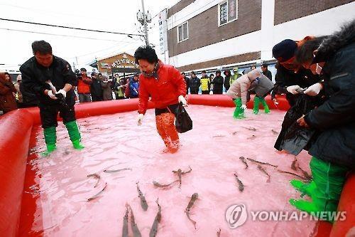 "겨울 별미 설숭어 맛보세요" 부안서 내달 6일부터 축제