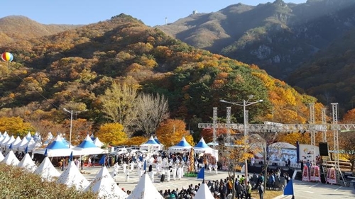 밀양시, 부산서 얼음골 사과 홍보…명지중 일대서 축제 열어