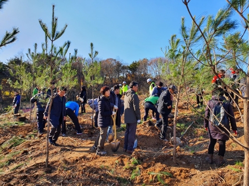 속초 산불 피해지역에 '서울의 숲' 조성