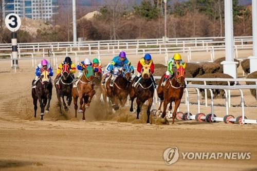 한국마사회, 부산경남경마 '기수 사망' 관련 감사 착수