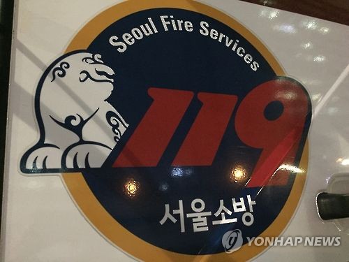 서울 방배동 비닐하우스촌 불…인명피해 없어