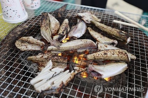 [#꿀잼여행] 강원권: 입안에 오도독 톡∼…담백함에 먹는 재미도 일품 도루묵