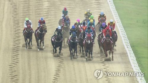 "부정 거부하면 말 탈 기회 안 줘" 경마 기수 유서 남기고 숨져(종합)