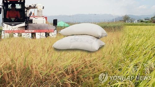 쌀 관세율 513% 확정…"밥쌀 일부 수입 불가피, 영향 최소화"