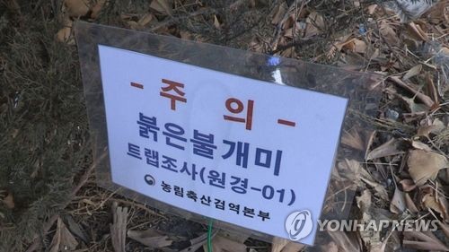 붉은불개미 새 진단법 개발…"소요시간 1∼2일→4시간 단축"