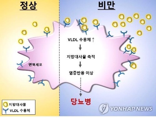 [당뇨병 대란] ① 침묵의 살인자…연간 400만명 사망, 치료비만 연 800조원