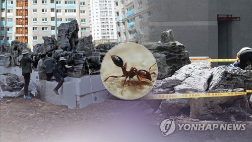 외래 개미 잇따르는데…검역 최전선 인력은 여전히 비정규직