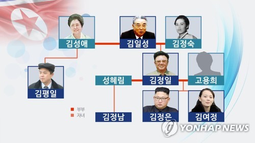 국정원 "김평일 駐체코 북한대사 교체돼 귀국 예정"(종합)