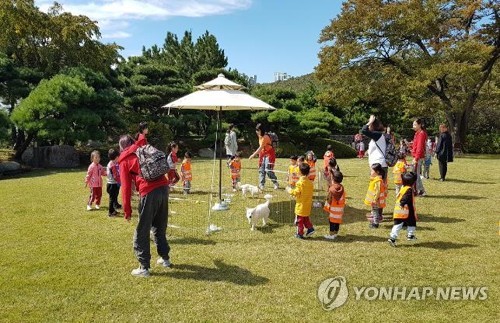 부산시장 관사 열린행사장 숲속체험·도서관 프로그램 인기