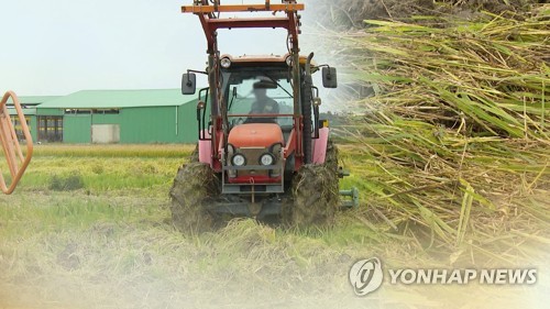 인천시 중구, 태풍 피해 벼 전량 매입키로