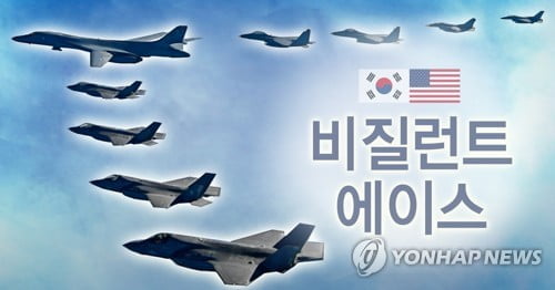 美국방부 "연합공중훈련 예정대로"…軍 "비질런트 에이스 아냐"