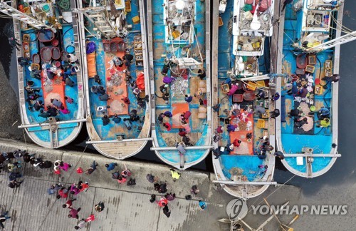 수도권 유일 '선상 파시' 열리는 북성포구…김장철 맞아 북적