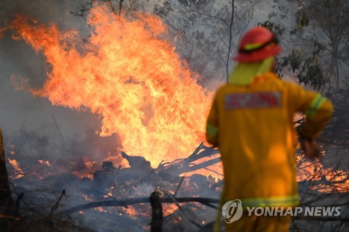 호주 최악의 산불…시드니 지역에 최고단계 비상사태 선포