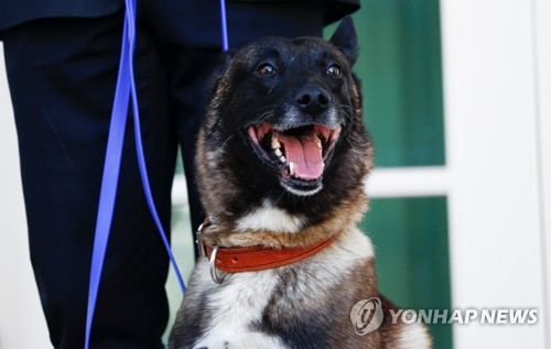 트럼프, IS수괴 추격 군견 '코넌' 깜짝 공개…"최고의 전사"