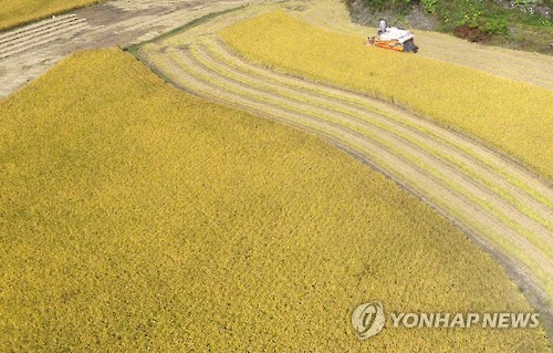 울산농업기술센터, 밥맛 우수한 신품종 쌀 확대 보급