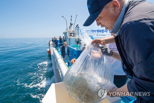 국민 생선 명태 되살릴 인공 치어 대부분 폐사…연말 방류 차질