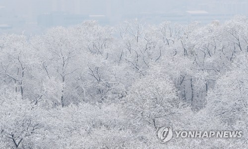 강원 오후부터 비…내일 새벽 산지에 최고 30cm 눈