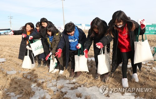 겨울 철새 낙원 철원군 "두루미 월동 돕기 정부 지원 절실해"