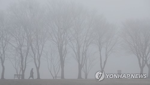 강원 내륙·산간 짙은 안개…"교통안전 주의하세요"