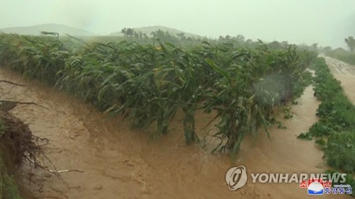 "北, 올해 농작물 생산량 평균 이하…식량난 심화"