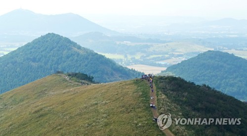 [#꿀잼여행] 제주권: 가을의 끝자락, 은빛 억새 만발한 '오름' 그 곳엔…