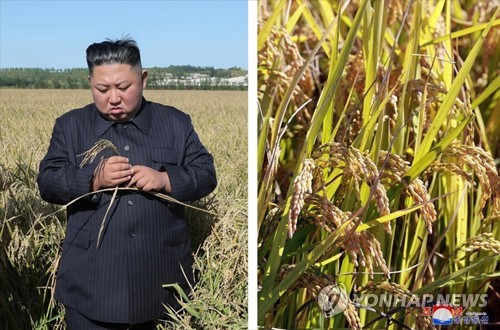 北, 식량난 속 국가수매 독려…"개인보다 나라 쌀독이 먼저"