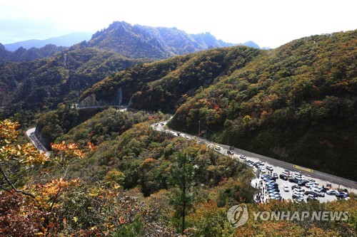 '가을철 산불 조심'…15일부터 국립공원 탐방로 104곳 전면통제