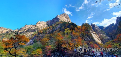 강원 국립공원 15일부터 산불조심 입산통제