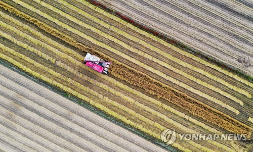 전남도, 벼 경영안정대책비 570억원 지급…ha당 62만원