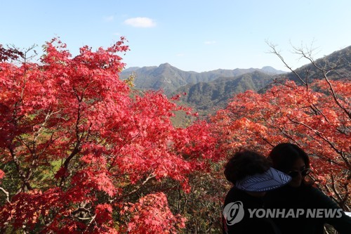 '가을아 가지 마' 남쪽으로 내려온 절정의 가을…단풍명소 북적