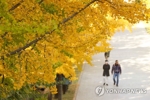 맑다가 오후부터 차차 구름…중부 오전 한때 미세먼지↑