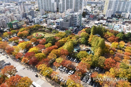 '가을아 가지 마' 남쪽으로 내려온 절정의 가을…단풍명소 북적