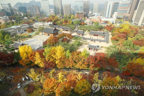 '가을 절정인데 궂은 날씨 대수냐'…유명산·축제장 관광객 넘실