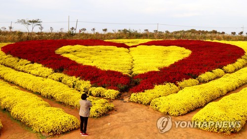 '가을 절정인데 궂은 날씨 대수냐'…유명산·축제장 관광객 넘실