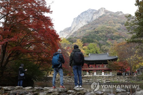 '가을아 가지 마' 남쪽으로 내려온 절정의 가을…단풍명소 북적